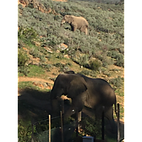 Fairy Glen Game Reserve image